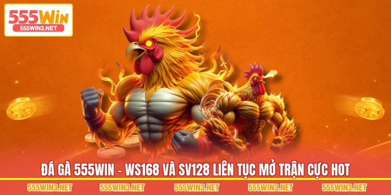 Đá Gà 555WIN