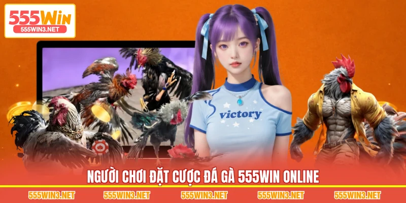 Người chơi đặt cược Đá Gà 555WIN online